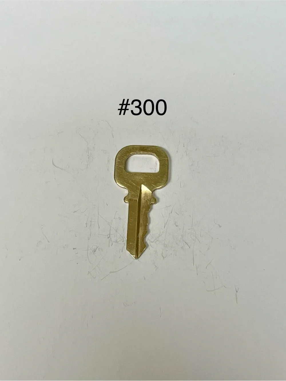 Louis Vuitton #300 Gold Spare Key